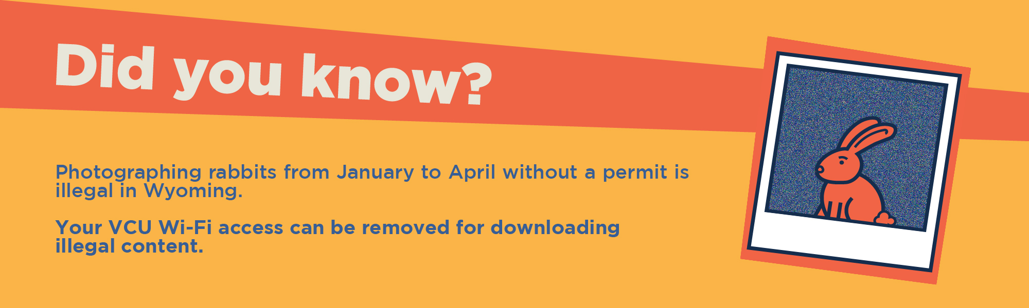 Did you know? Photographing rabbits from Janurary to April without a permit is illegal in Wyoming. Your VCU Wi-fi access can be removed for downloading illegal content.